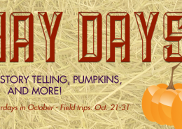 Hay Days Slider