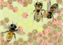 LisaKrannichfeld_HoneycombI