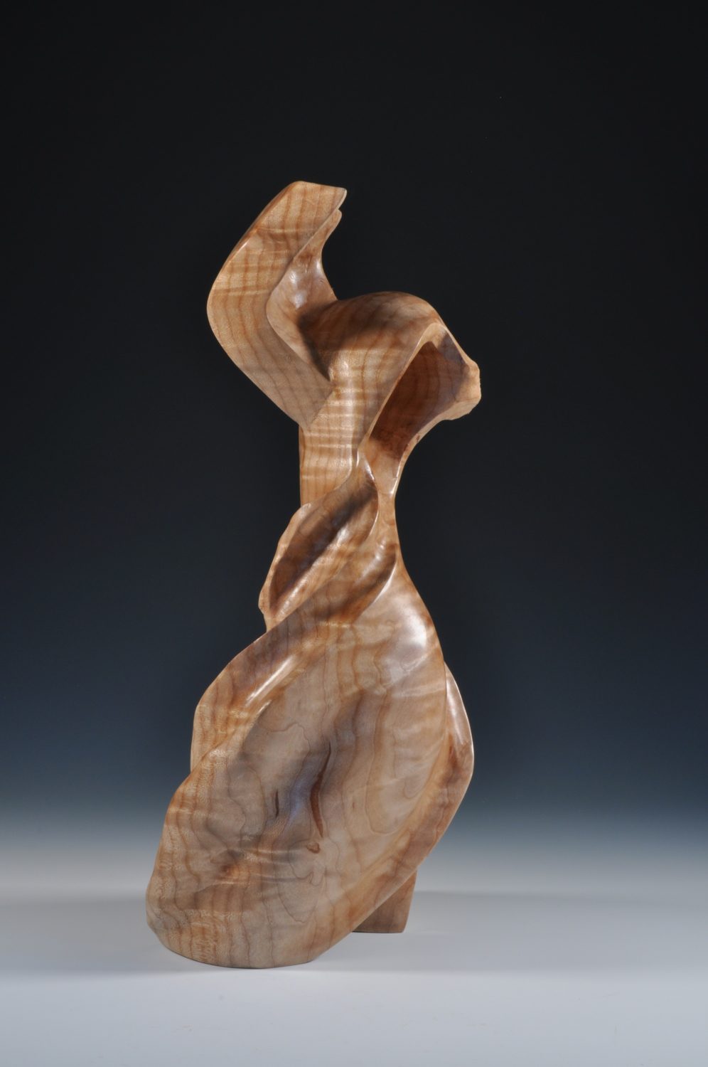 UALR Faculty & Students 2017 Wildwood Park for the Arts