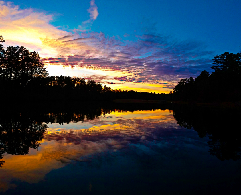 Swan Lake Wildwood Park for the Arts