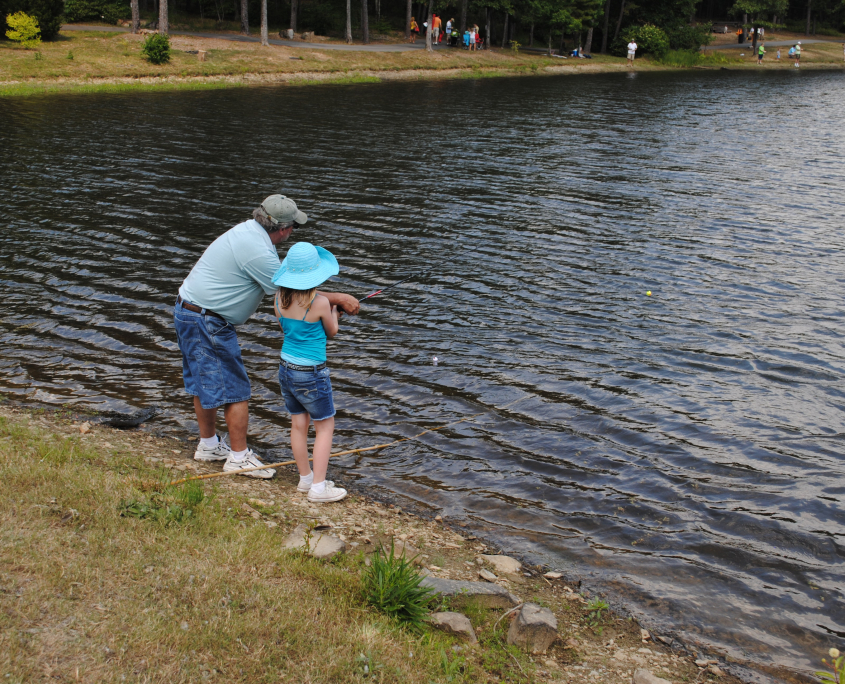 Swan Lake Wildwood Park for the Arts